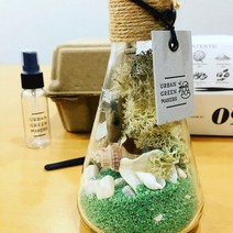 바보사랑 테라리움키트09.어반그린마커스, 틸란시아카풋메두사