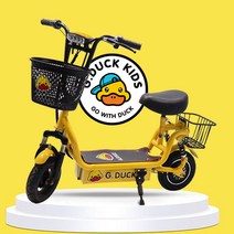 전기 이륜차 바구니 배달용 전동차 라이딩 노년 노인, 핑크 24V 전용 납산 배터리