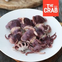 더꽃게 당일조업 울진 죽변항 활 귀오징어, 1box, 생물 귀오징어 1kg (13-15미)