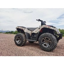 오토바이 바이크 4륜 사륜 산악 비치 해변 오프로드 ATV 400CC, 위장, 단일사이즈