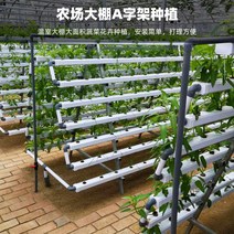 가정용 식물재배기 수경재배기 식물 재배기 흙재배설비 부품이 없는 가정 베란다 배관 수배식기 자동화 수경채소, 옵션02, 중간 정도