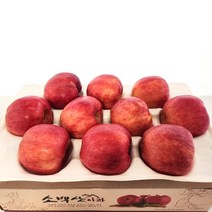 산지직송 당도보장 소백산 고랭지 영주 사과 홍로 정품(9월 24일 오전9시 주문건까지 추석전에 받을 수 있습니다.), 1박스, 소백산 홍로 대과 3kg