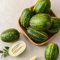 봄철 제철과일 경북 고령 파파야메론 2~5kg, 5kg / 11-25과 내외, 1개