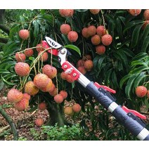 원예 장대 가위 과일 따기 3M 조절 잔가지 고지 톱질, 2.2미터 수축 1.3미터 2단