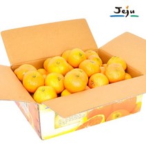 [올탑농원] 제주직송 햇수확 하우스감귤 4.5kg(대과/쥬스용), 단품