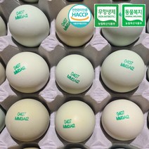 청계알 청란 동물복지 무항생제 유정란 특란 (개당 42g) 20구 40구, 40구 한판
