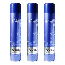 쟈레스 3개)쟈레스 인리치드 파워 홀딩 스프레이300ML 헤어스프레이, 300ml, 1세트