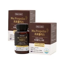기타 뉴와이즈 뉴질랜드 프로폴리스 아연 영양제 90캡슐 3개월분 x2개 항산화 면역 기능 목건강 기관지 구강