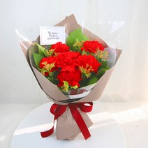 카네이션 생화 꽃다발 5월 어버이날 스승의 날 꽃배달, 카푸치노 꽃다발, 대형(20송이)