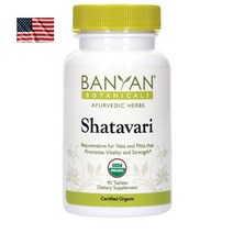 미국 Banyan Botanicals Shatavari 1000mg 90캡슐 반얀 보타니컬즈 샤타바리 뿌리 추출물 사타바리