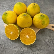 여름 제철 과일 황금빛 새콤 달콤 황금향, 선물용, 특대과 5kg 8-16과, 1개
