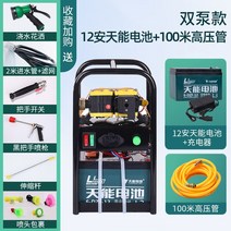 충전식 동력 분무기 전동 농약 살포기 고압 전기 농업 휴대용 미스트 기계 자동차 세탁기 워터 펌프 다이어프램 펌프 기계, +100미터 파이프가 있는 이중 펌프 Tianne