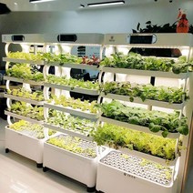 스마트팜 식물 재배기 가정용 인공 재배 인큐베이터, 하얀색