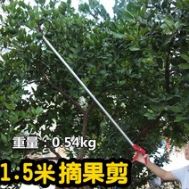 가지치기가위 대형 정원 긴나무 고지가위 정원도구, 1.5m