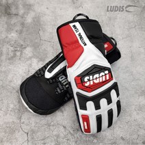루디스 21/22 National Team 알파인 스노보드 레이싱용 가죽 벙어리 장갑 LGM4032 (정가대비 20%OFF+15%쿠폰), WT