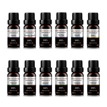 아로하트리즈 에센셜 오일 10ml 15종 택1, 유칼립 투스, 유칼립 투스