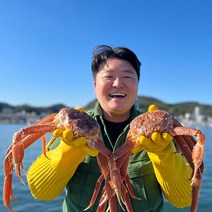 국내산 동해바다 제철 대게 수율보장, 국산대게(자숙찜/찜비무료), 일반대게 소 3마리(자숙)_수율60%내외