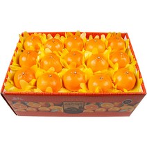 농장직송 고당도 천혜향 3kg 5kg 10kg, 1박스, 천혜향 10kg 왕특대(24~34과)
