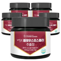 콜레우스 포스콜리 추출물 120정 5통, 없음