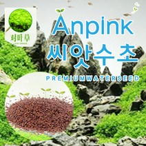 AnPink 씨앗 수초S (1개입) 어항 수족관 수조 장식 전경 수초