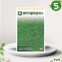 솔림텃밭몰 켄터키블루그라스잔디씨앗 20g 한지형잔디 캔블루, 단품