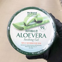 제주알로에베라수딩젤 500g x 1개, 단품, 단품