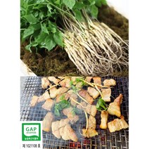 순수 새싹삼 [GAP 인증] 미니 100 뿌리 150 뿌리 (15cm 내외) 1box 일반포장, 일반 포장