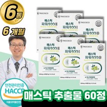 매스틱 추출물 60정 / 브로콜리 속 껌 검 효능 브로콜리 양배추 캡슐 알약 타입 복용 식약청 식약처 인증 인정 할머니 중년 어르신 아줌마 50대 60대, 매스틱6통