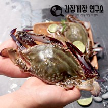 국내산 싱싱한 급랭 제철 가을 숫꽃게 알배기 암꽃게 전문, 국내산 암게 3kg(소)