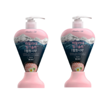 죽염 히말라야 핑크솔트 담은 펌핑 치약 플로럴민트, 285g, 2개입