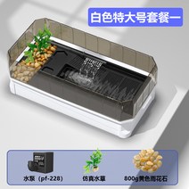 바다소라게 키우기 사육장 거북이 케이지 어항 실린더