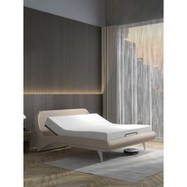 상반신 각도조절 모션 베드 움직이는침대 전동 리프트, A