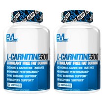 이볼루션 엘 L카르니틴 500 L-CARNITINE 카르티닌 120캡슐 2개