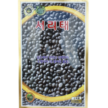 서리태콩 검은 콩 씨 씨앗 종자 재배 키우기
