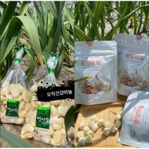국내산 깐마늘 300g + 동결건조다진마늘 30g [퐁당마늘] + 마스크 서비스, 깐마늘200g+퐁당마늘1봉