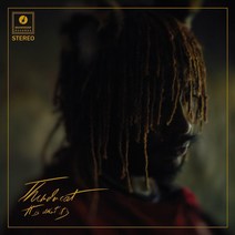 미국 LP판 Thundercat IT IS WHAT GATEFOLD 밀봉 투명 레코드판 LP