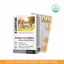 비타민B100 비타민B 복합제 복합체 비타민비 영양제 비타민 B7 B5 B9 비타민B군 영양제 비타민 비 군 영양제 바이오틴 부부 임신초기 엽산 남자 피리독신 비타민 B3 B12