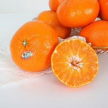 [초록자연] 레드향 3kg(14-16과) 제주 감귤, 상세 참조