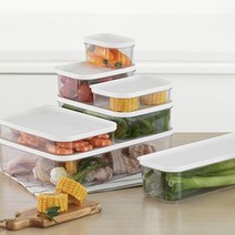 냉장고용기 밀폐 소분 플라스틱 과일보관 도시락 반찬통, 9호-화이트(2P)
