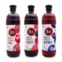 GO2shop GO2shop_ 배도라지청선물세트 민들레즙 배도라지농축액 황칠액 맛있는비트즙, good 블루베리 1.5리터