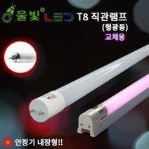 울빛 LED형광등 AC직관 주차장 사무실 공장등, 1200mm, 3000K주광색