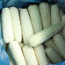 담백한 맛 냉동 삶은 옥수수 16kg, 반려동물닷컴 1, 반려동물닷컴 본상품선택