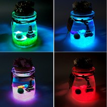 강군샵 [강군샵] 마리모 키우기 반짝반짝 LED푸딩 세트-4종(각개판매), 선택완료