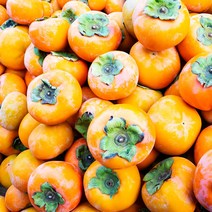 [시골마당] 전라도 햇 단감 4.5에서 5kg 최상급 당도보장, 25과 전후