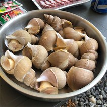 자연맛남 [산지직송]동해안 생물 백고동 1kg(소/30-40미), 1