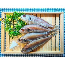 국내산 반건조 백조기 (왕대) 5마리