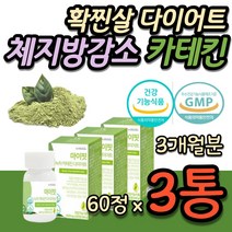 식이요법 녹차 추출물 다이어트 확찐살 체지방 셀룰라이트 똥배 뱃살 팔뚝살 부작용없는 카테킨 40대 50대 60대 중년 중장년 여성 여자 식단 보조제 홈쇼핑 추천