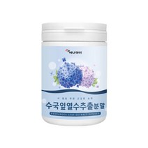 에너데이 수국잎열수추출분말100g 3개, 100g