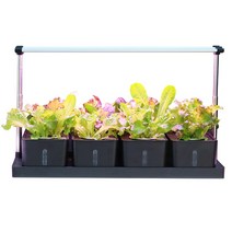 가정용 스마트 수경재배 재배상자 LED 식물재배 세트, Z305 지능형 콤비 라이트 스탠드 블랙