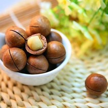 까먹는 통 마카다미아 1kg 베트남 생 견과류